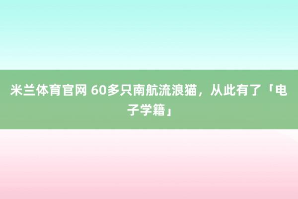 米兰体育官网 60多只南航流浪猫，从此有了「电子学籍」