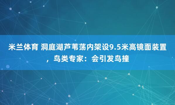 米兰体育 洞庭湖芦苇荡内架设9.5米高镜面装置，鸟类专家：会引发鸟撞