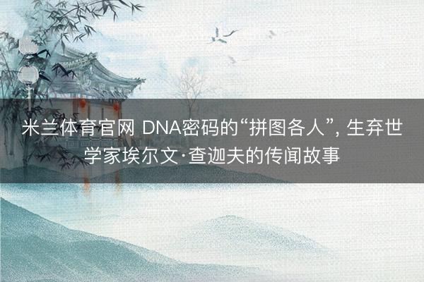 米兰体育官网 DNA密码的“拼图各人”， 生弃世学家埃尔文·查迦夫的传闻故事