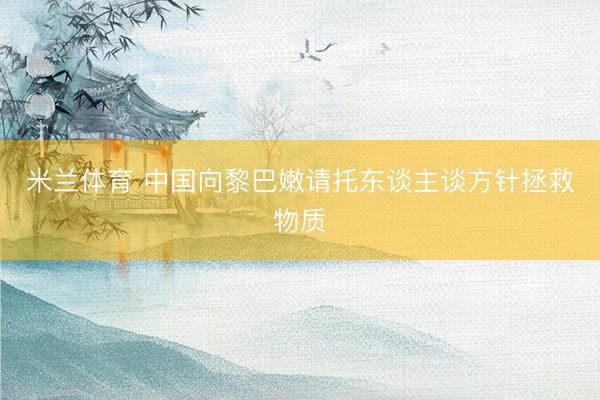 米兰体育 中国向黎巴嫩请托东谈主谈方针拯救物质