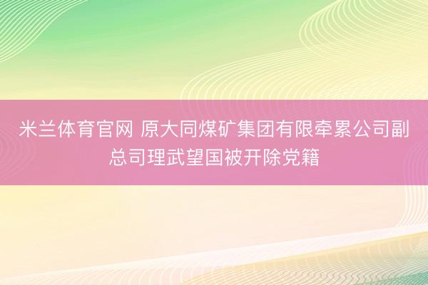 米兰体育官网 原大同煤矿集团有限牵累公司副总司理武望国被开除党籍
